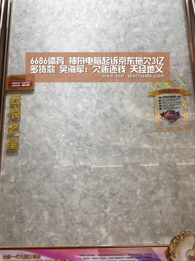 6686体育_神舟电脑起诉京东拖欠3亿多货款 吴海军:欠账还钱 天经地义(图3) 6686体育