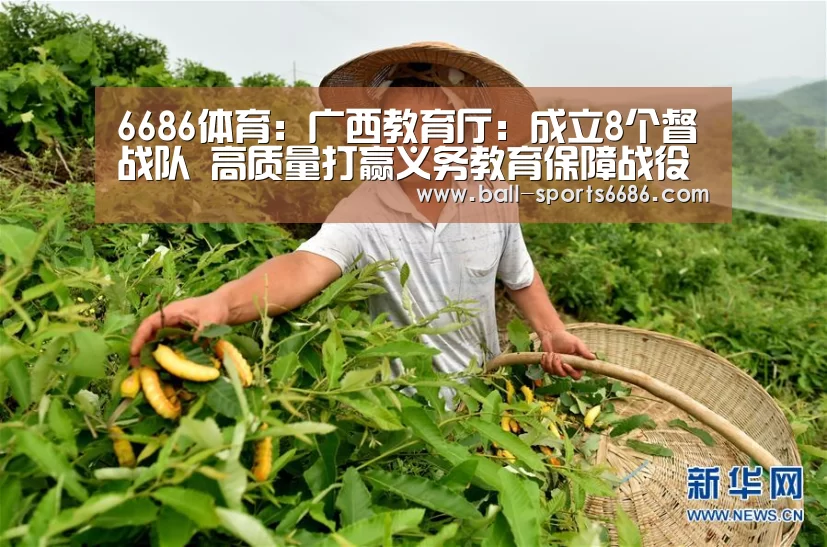 6686体育